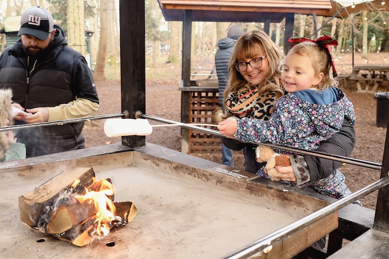 Mother and daughter roast marshmallows over a park fire pit while a man watches in the background.