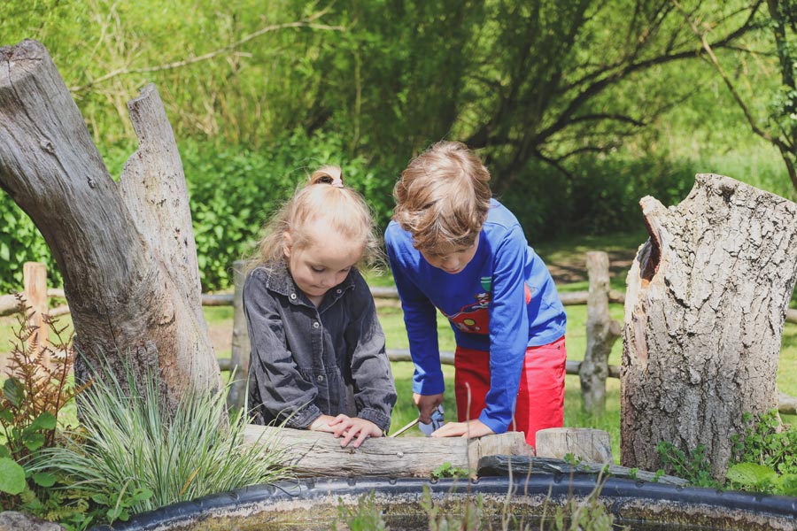 Things to do at half-term, Essex