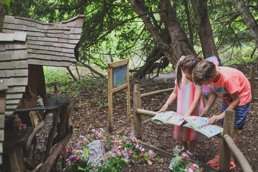 Things to do at half-term, Essex