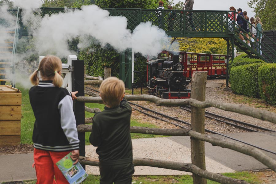 Things to do at half-term, Essex