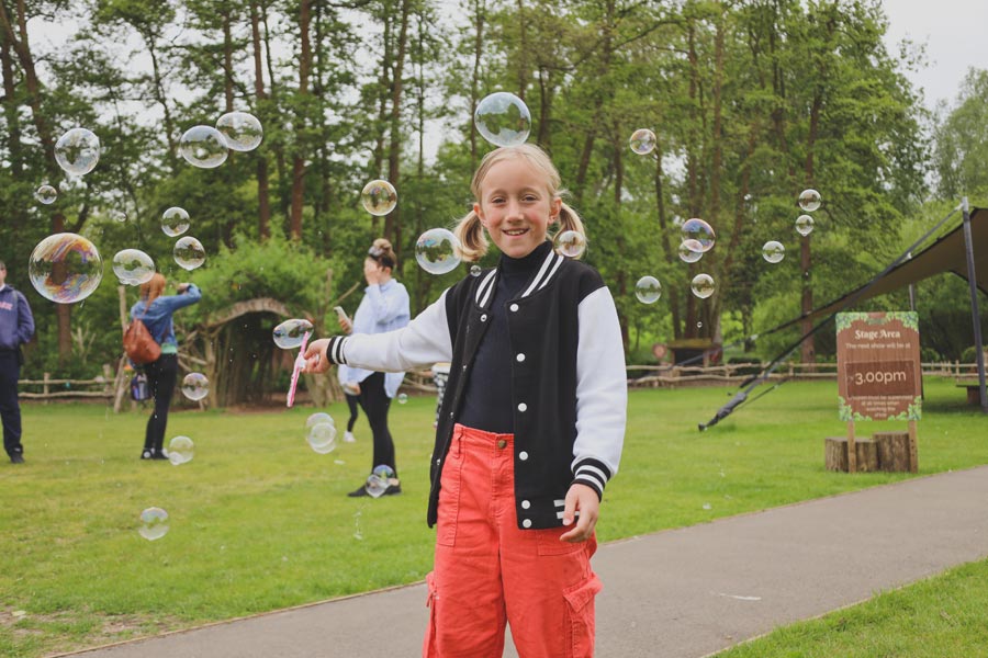 Things to do at half-term, Essex