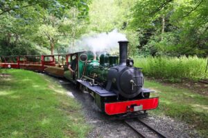 New electric steam-outline train travelling through the woodland at Audley End Enchanted Railway in Essex.