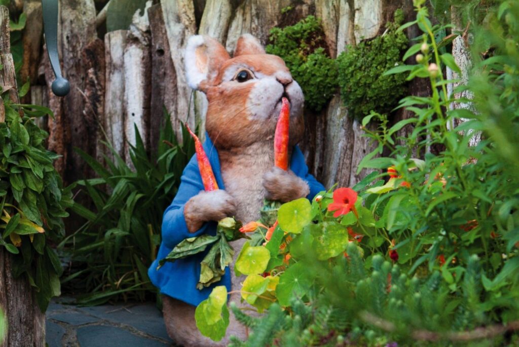 Peter Rabbit eating a carrot The Wold of Beatrix Potter