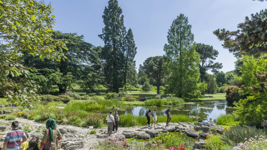 Visitors exploring the lake and gardens at Cambridge University Botanic Garden