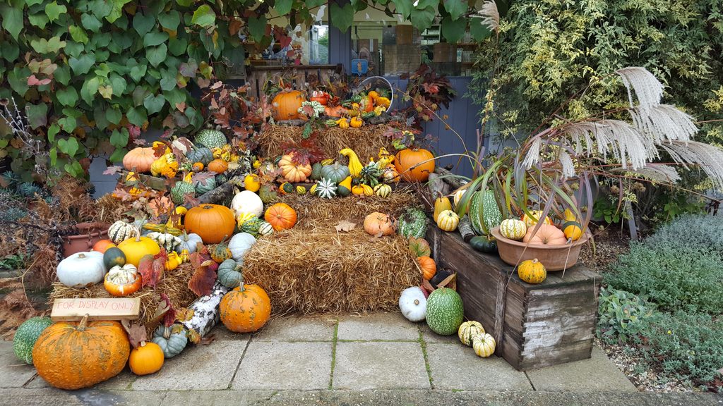 An autumn display of colourful pumpkins and gourds arranged around straw bales, wooden crates and ornamental grasses.
