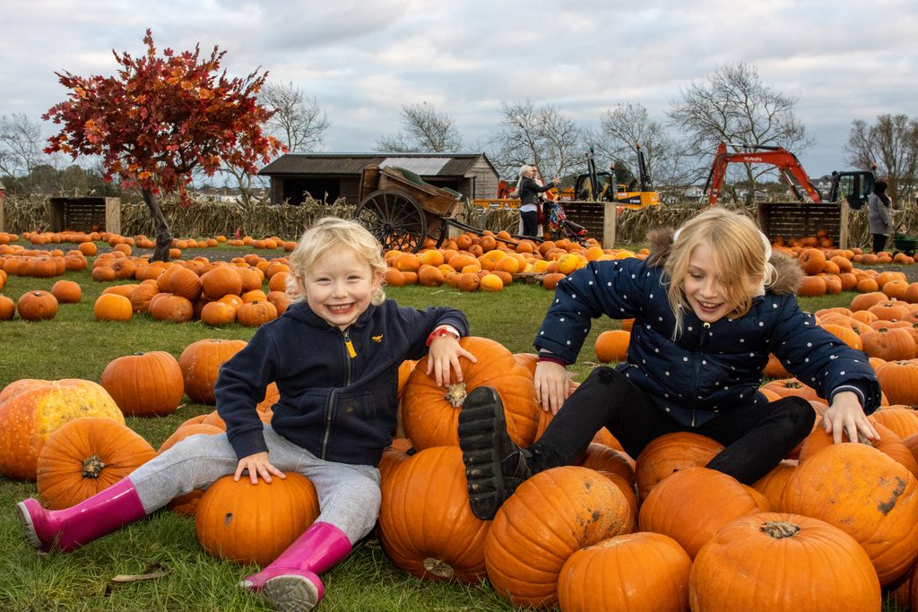 Two smiling children sit among pumpkins in a field, with more pumpkins and an autumn tree behind them.