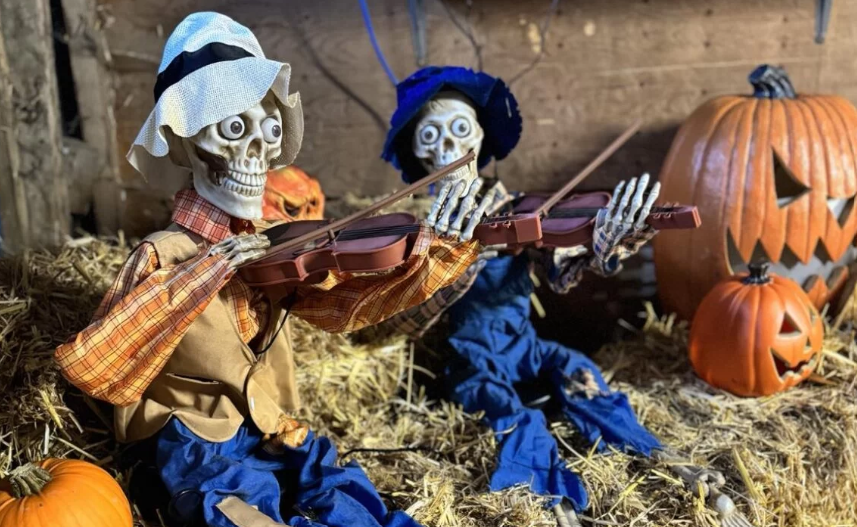 Two skeletons dressed as musicians play violins among hay bales and carved Halloween pumpkins.
