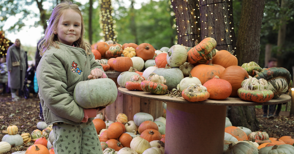 Young girl holding a pumpkin at Audley End Enchanted Railway’s Halloween Special, surrounded by colourful pumpkins and gourds in a woodland pumpkin patch decorated with fairy lights.