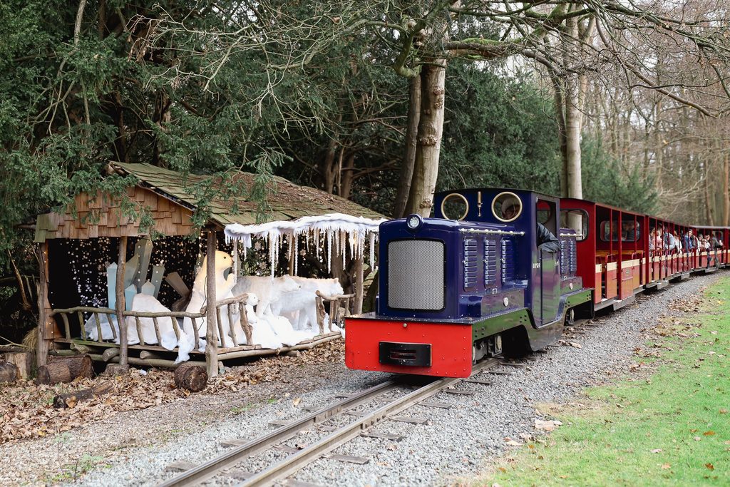 Blue passenger train on a curved track beside a snow-dusted display and evergreen trees in a park setting.