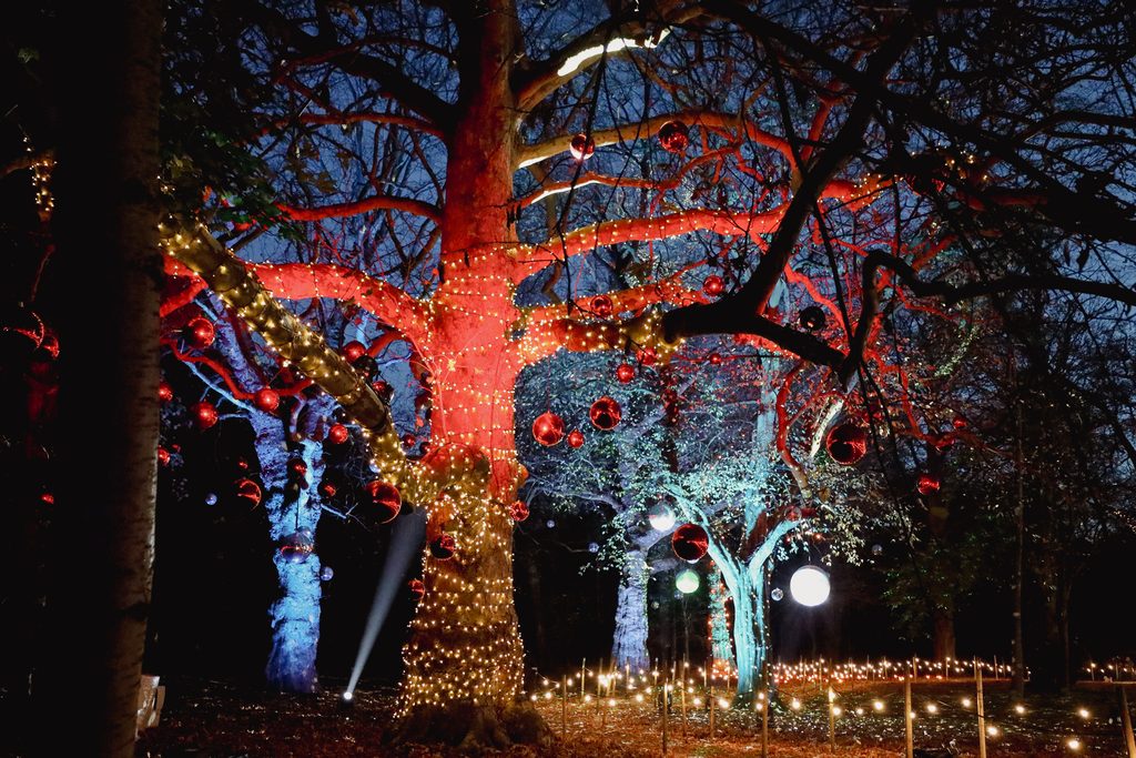 Night scene of leafless trees wrapped in red and warm white holiday lights with dangling red ornaments.