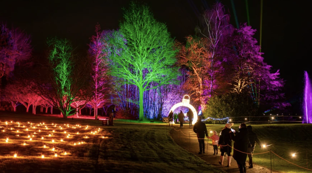 Families exploring a magical Christmas light trail at night, with trees illuminated in vibrant pink, green and purple lights and a glowing bauble arch along the festive woodland path.