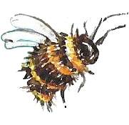 A bee