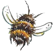 Another bee
