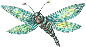 dragonfly
